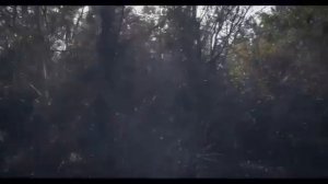 Фильм про Мубариза