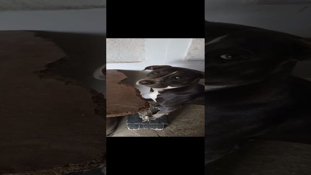 1000004573.mp4