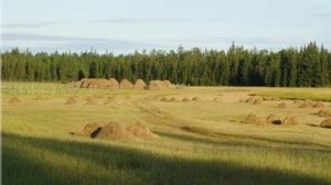 МАХТАЛ ДЬҮҺҮЛГЭНЭ