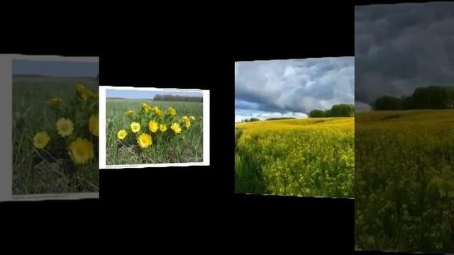 Позновательно-музыкальный экскурс «Чудеса заповедной природы»
