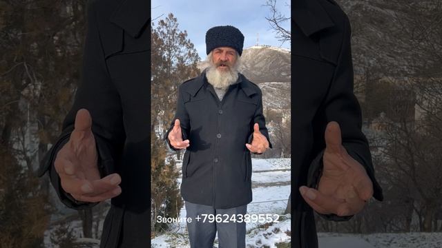 Баян целитель