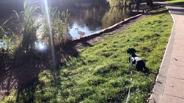 осень смотреть онлайн