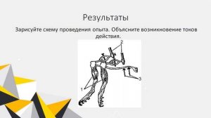 Опыт №3. Опыт Маттеучи