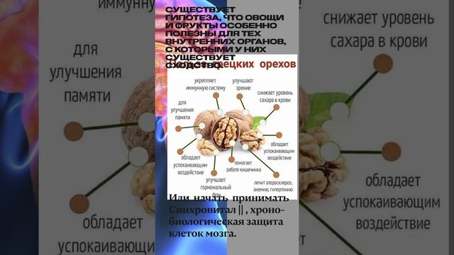 Синхровитал 2