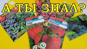 5 ягод, которые сеем на рассаду в ДЕКАБРЕ🍓🍓🍓