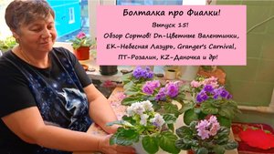 Болталка про Фиалки! Выпуск 15: Обзор Сортов! Dn-Цветные Валентинки, ЕК-Небесная Лазурь и другие!
