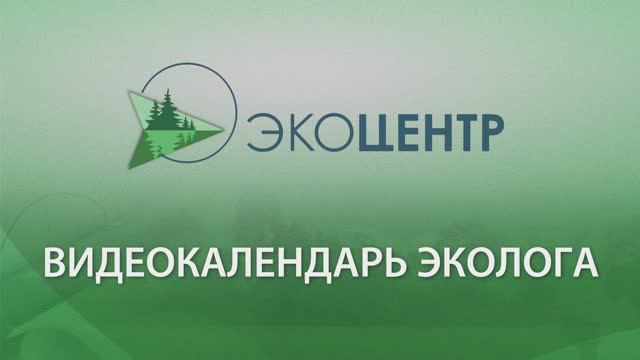 ВИДЕОКАЛЕНДАРЬ ЭКОЛОГА: ВСТУПЛЕНИЕ. #ЭКОЛОГИЯ #ОТЧЕТЫ #ЭКОЦЕНТР