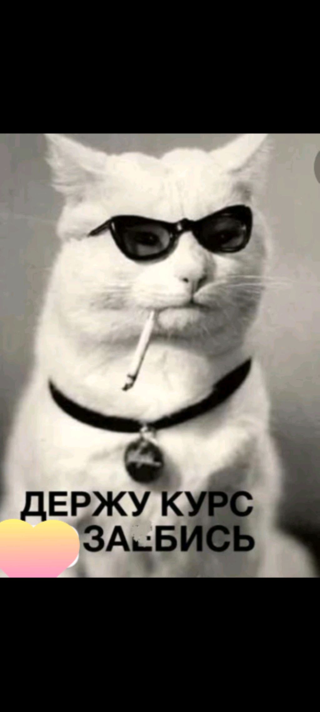 играю в коловдюти ,общаюсь
