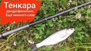Тенкара. Дендрофекальный метод. Еще немного слов.