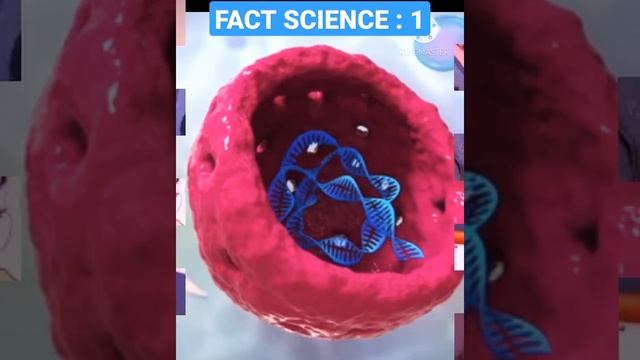 SCIENCE FACT : 1 ( INTRESTING VIDEO) # SHORT By Vivek Bio смотреть онлайн