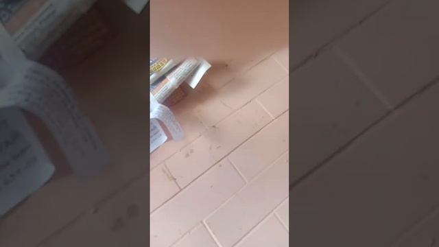 Уручье красный бор. прищелкиваем расклеиваем объявления за процент от заказов и не за процент смотреть онлайн