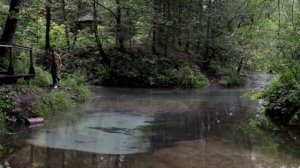 Чудеса Марий Эл: Зелёный ключ и кипящие ручьи в нацпарке Марий Чодра