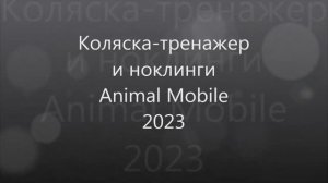 Реабилитация собаки с помощью коляски-тренажера Animal Mobile и поддержки стопы (ноклингов)