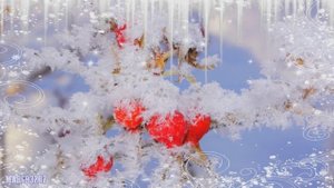 ❄Доброго❄ Зимнего ❄Утра!❄