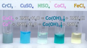 Реакции солей металлов с раствором аммиака / Reactions of metal salts with ammonia