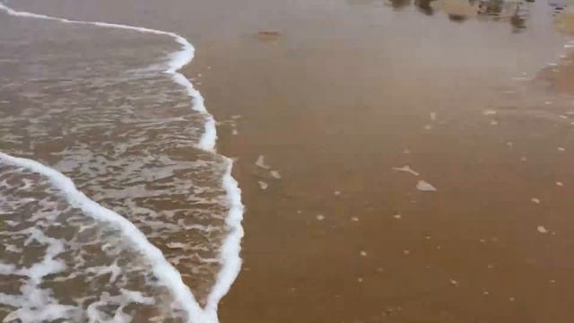 Benaulim beach