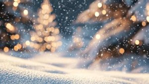 Реальные истории - Необыкновенная дружба между моей подругой и мажором...