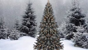 В ЛЕСУ родилась Елочка - детская НОВОГОДНЯЯ ПЕСНЯ