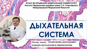 Лекция №10 Гистология органов дыхательной системы - доцент Лугин И.А.