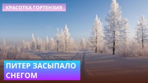Первый настоящий снег в Питере ❄️👍