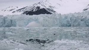 Ludovico Einaudi - "Elegy for the Arctic" - Official Live (Greenpeace)