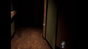 2 place iOS Hello neighbor