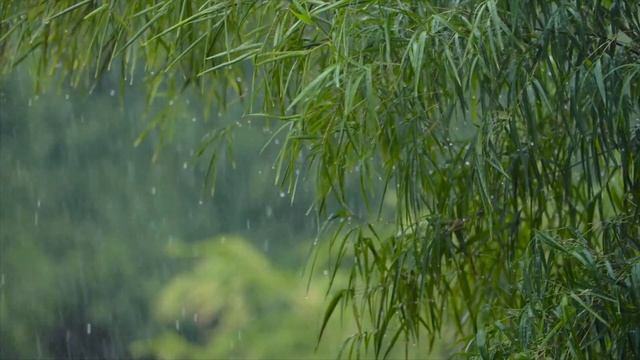 Мудрые цитаты Стаса Янковского, которые смогут чему-нибудь научить. смотреть онлайн