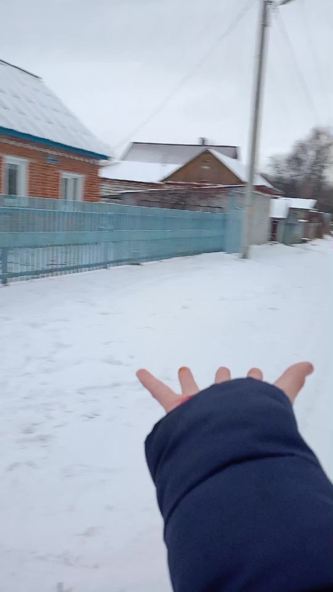 елка