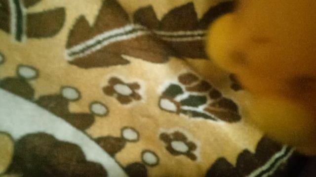 все сквош и антистресы смотреть онлайн