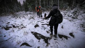 ПОХОД В ГОРЫ | ОСЕННИЙ ЛЕС, СНЕГ, СОБАКА