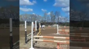 Рысак галоп