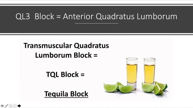 Quadratus Lumborum Block 1,2, 3 -Clinical tips.- Presentation by Dr Amit Dikshit смотреть онлайн