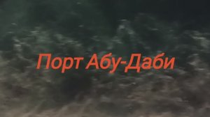 Круиз по Персидскому заливу. ОАЭ. Порт Абу-Даби