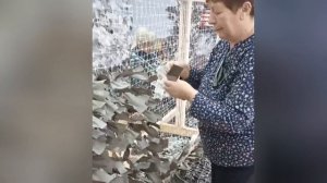 Спешите делать добрые дела