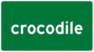 How to Pronounce crocodile In English
