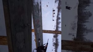 сайга 410 с