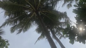 Шри-Ланка в ретростиле и без слов.