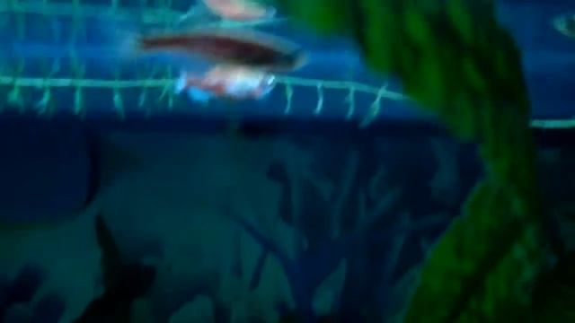 I AM !!!!!!⚠ смотреть онлайн