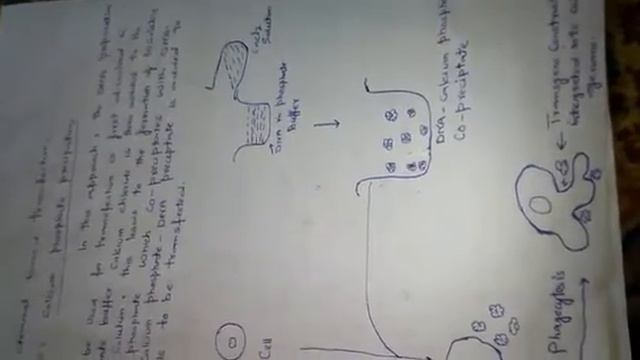 Chemical based transfection...DEAE-dextran mediated transfection...lipofection..1 2th biotechnology