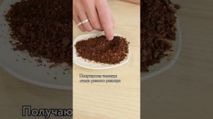 Какую кофемолку лучше выбрать?