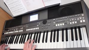 Magic Fly Cover on Yamaha psr s670