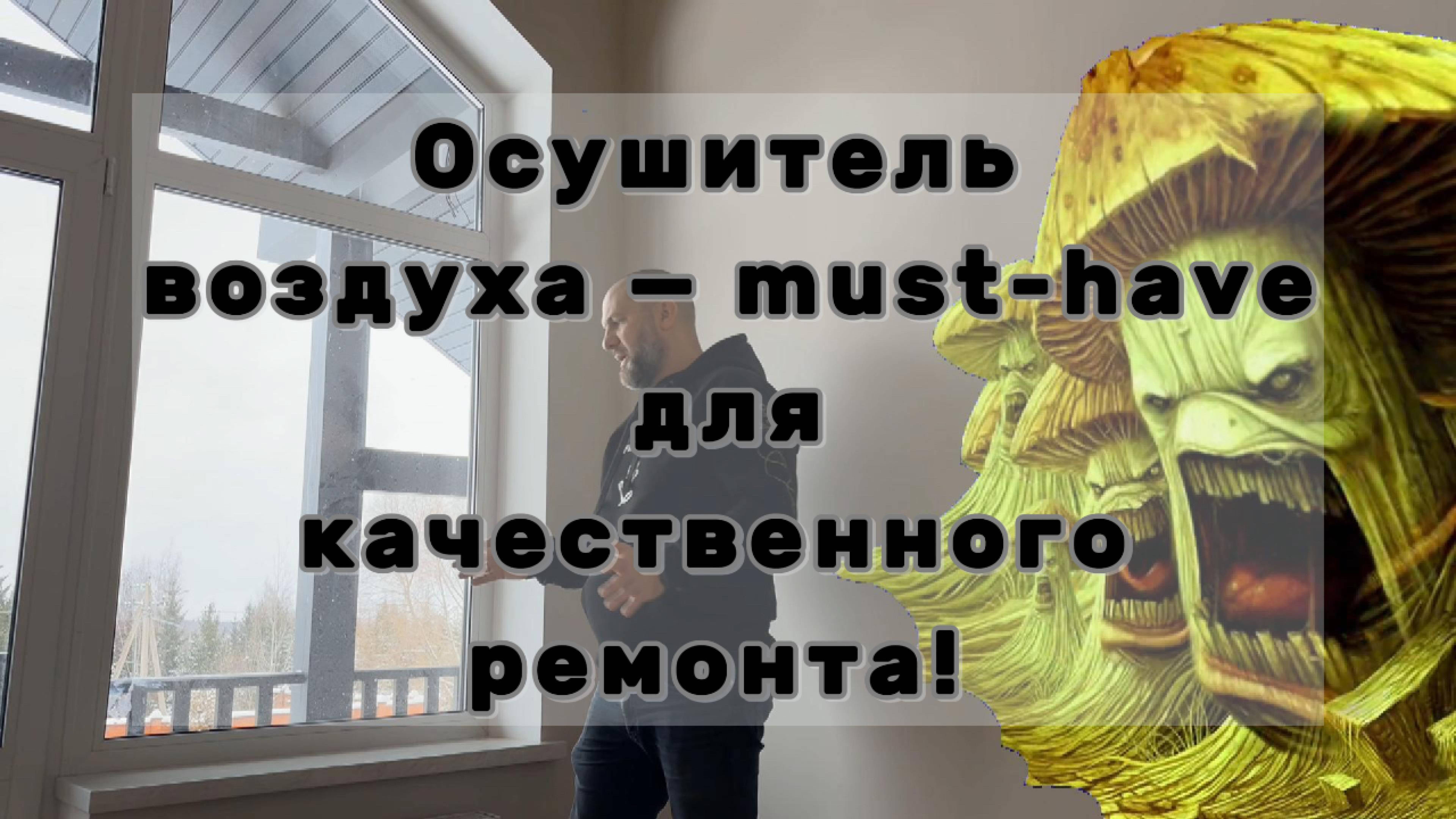 Осушитель воздуха — must-have для качественного ремонта!