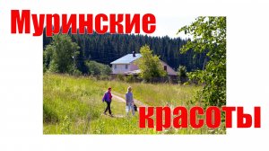 Муринские красоты