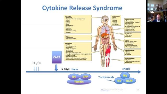 Novel Treatments for Lymphoma: Focus on Targeted Therapies