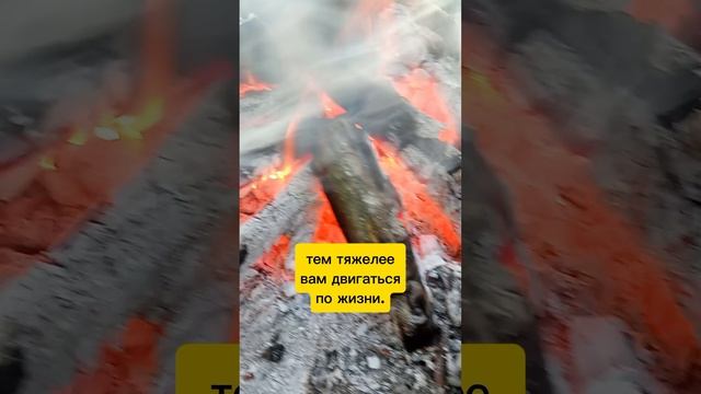 🍋 Почему вы постоянно чувствуете усталость, почему нет сил, вы как выжатый лимон