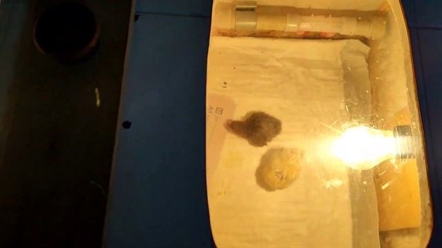 очень плохо выходят цыплята. жизнь в деревне простых людей смотреть онлайн