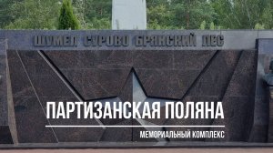 ПАРТИЗАНСКАЯ ПОЛЯНА. Брянск. Лето 2024 г.
