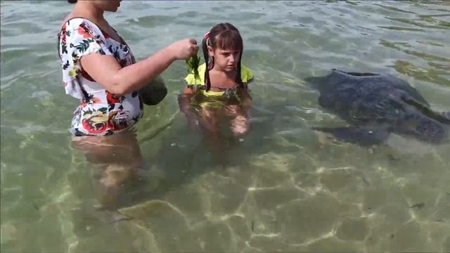 Шри-ланка. Wijaya Beach Виджая бич - пляж черепах. смотреть онлайн