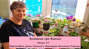 Болталка про Фиалки! Выпуск 14: Пересаживаем Детки Сенполий и Формируем Фиалочкам Розетку!