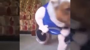 ТЕСТ НА ПСИХИКУ КТО ЖАРЖЕТ ТОТ ПСИХ!!!